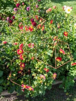 Parasol Plant Supports, Set Of 3 13 Parasol Plant Supports, Set Of 3 -Garden Tools Store 8611129 050 tif