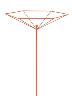 Parasol Plant Supports, Set Of 3 15 Parasol Plant Supports, Set Of 3 -Garden Tools Store 8611129 3840 tif