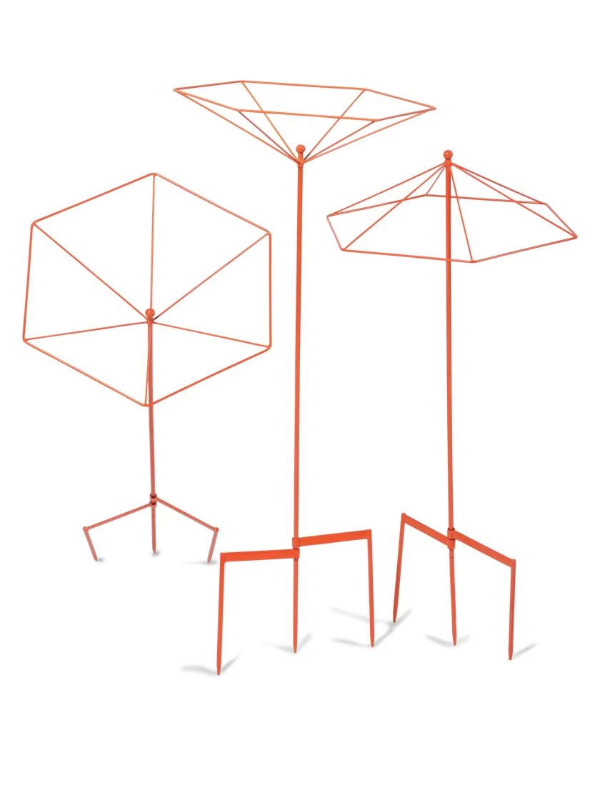 Parasol Plant Supports, Set Of 3 10 Parasol Plant Supports, Set Of 3 - Image 8