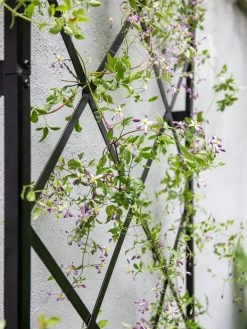 Lattice Gable Wall Trellis 8 Lattice Gable Wall Trellis -Garden Tools Store 8611130 011