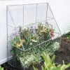 Chicken Wire Flat Back Crop Coop -Garden Tools Store 8611701 142 tif