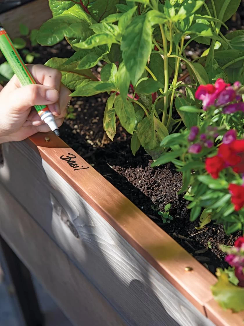 Re-Markable Raised Bed Trim 3 Re-Markable Raised Bed Trim