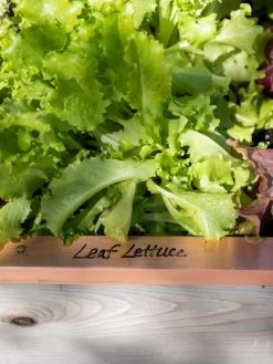 Re-Markable Raised Bed Trim 12 Re-Markable Raised Bed Trim -Garden Tools Store 8611757 326 tif