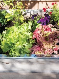 Re-Markable Raised Bed Trim 13 Re-Markable Raised Bed Trim -Garden Tools Store 8611758 306 tif