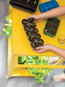 Sili-Seedlings® Seedling Tray, 10-Cell 11 Sili-Seedlings® Seedling Tray, 10-Cell -Garden Tools Store 8611886 374 tif