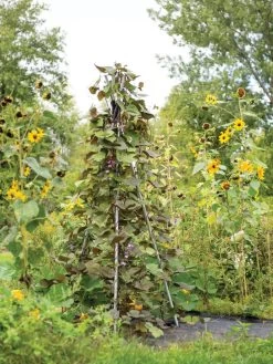 DIY Connector For Teepee Trellis -Garden Tools Store 8611896 062 tif