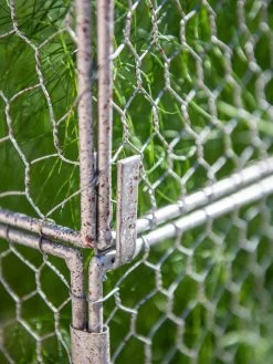 Chicken Wire Crop Coop Extension -Garden Tools Store 8611940 232 tif