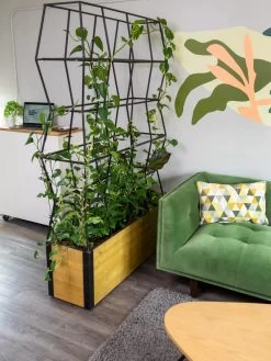 Self-Watering Partition Planter 10 Self-Watering Partition Planter -Garden Tools Store 8611952 001 tif