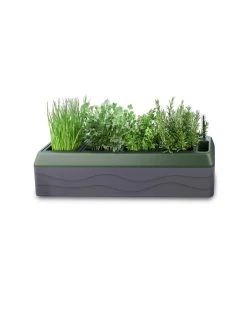 Provence Self-Watering Herb Planter -Garden Tools Store 8611965 03V tif