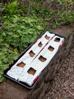 Berry Blend Coir Grow Bag, Set Of 2 -Garden Tools Store 8611968 361 tif