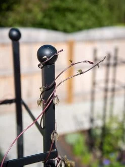 Essex Square Obelisk -Garden Tools Store 8611984 278 tif