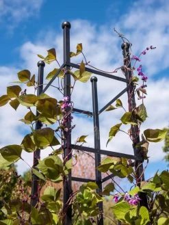 Essex Square Obelisk -Garden Tools Store 8611984 354 tif