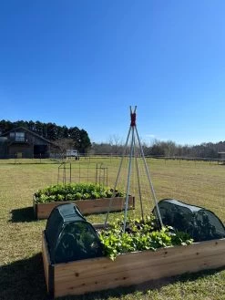 Insect And Pest Net Row Protector -Garden Tools Store 8611985 04 tif