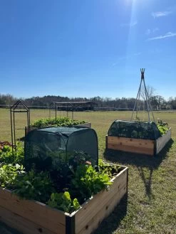 Pest Control Pop-Ups -Garden Tools Store 8611989 05 tif