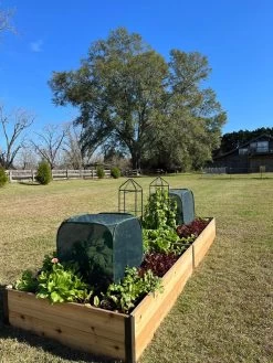 Pest Control Pop-Ups -Garden Tools Store 8611989 08 tif