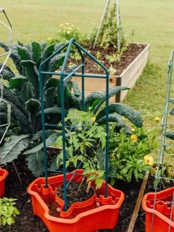 Deluxe Tomato Halos, Set Of 2 -Garden Tools Store 8612045 221 tif