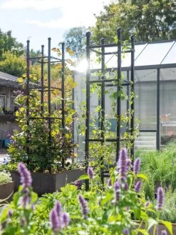 Garden Tools Store -Garden Tools Store 8612046 346 tif