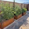 Nice Corten Trough Planters With Trellis -Garden Tools Store 8612390 02V jpg
