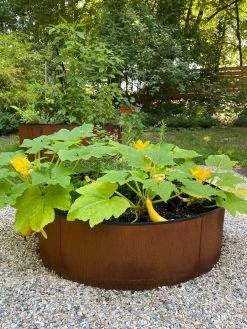 Birdies™ Corten Steel Round Raised Beds 11 Birdies™ Corten Steel Round Raised Beds -Garden Tools Store 8612422 0484 tif