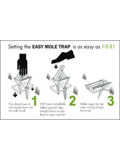 Easy Mole Trap 8 Easy Mole Trap -Garden Tools Store 8612557 04v 1