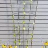 Flock Of Friends Wall Trellis -Garden Tools Store 8612636 0029 flock of friends wall trellis
