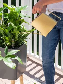 Precision Brass Watering Can -Garden Tools Store 8612691 0011