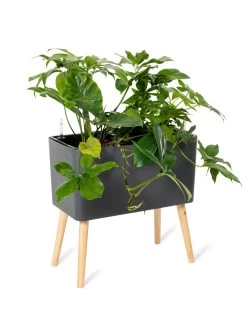 Ava Self-Watering Rectangular Planter 14 Ava Self-Watering Rectangular Planter -Garden Tools Store 8612691 0013