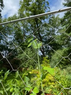Chicken Wire Pea Trellis -Garden Tools Store 8612718 7311