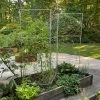 Chicken Wire Pea Trellis