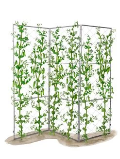 Chicken Wire Pea Trellis -Garden Tools Store 8612718 peatrellis art chicken wire pea trellis