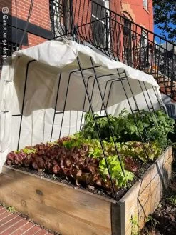 Cotton All Purpose Garden Cover 11 Cotton All Purpose Garden Cover -Garden Tools Store 8612816 01CUST