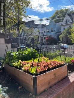 Zenith Garden Hoops, Set Of 4 -Garden Tools Store 8612816 02CUST