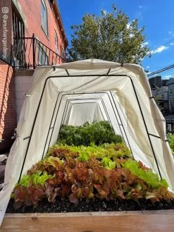 Cotton All Purpose Garden Cover 12 Cotton All Purpose Garden Cover -Garden Tools Store 8612816 03CUST