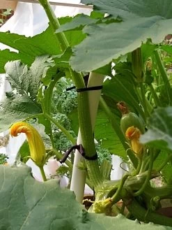 Farmyarn® Multipurpose Garden Tie, 2 Pack -Garden Tools Store 8612948 01v