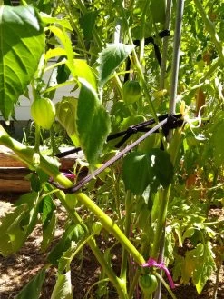 Farmyarn® Multipurpose Garden Tie, 2 Pack -Garden Tools Store 8612948 02v