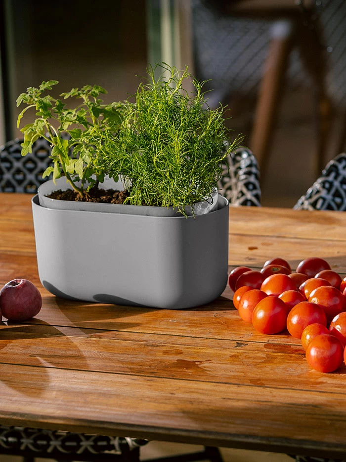 Tolita Recycled Self-Watering Flower Box 3 Tolita Recycled Self-Watering Flower Box