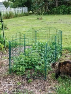 6 Panel Critter Fence With Gate 13 6 Panel Critter Fence With Gate -Garden Tools Store 8612967 2570 tif