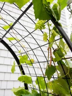 2’ X 4’ Arch Trellis For Planter Boxes 17 2’ X 4’ Arch Trellis For Planter Boxes -Garden Tools Store 8612976 0436