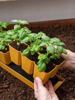 Gardener's Best® XL 6-Cell Planting Tray, Set Of 4 -Garden Tools Store 8613031 6300