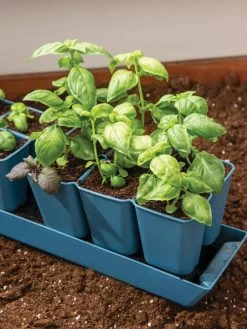 Gardener's Best® XL 6-Cell Planting Tray, Set Of 4 -Garden Tools Store 8613031 6302