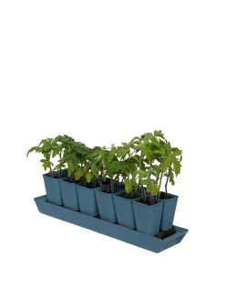 Gardener's Best® XL Seed Starting Kit -Garden Tools Store 8613066 0029