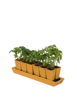 Gardener's Best® XL Seed Starting Kit -Garden Tools Store 8613066 1029