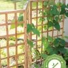 Bamboo Zig-Zag Trellis 24" X 36" 2 Bamboo Zig-Zag Trellis 24" X 36" -Garden Tools Store 8613151 15