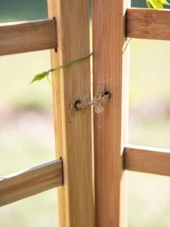 Bamboo Zig-Zag Trellis 24" X 36" -Garden Tools Store 8613151 6483