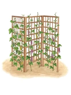 Bamboo Zig-Zag Trellis 24" X 36" -Garden Tools Store 8613151 art flat