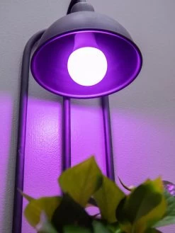 Kira Grow Light Hanging Planter -Garden Tools Store 8613232 5663