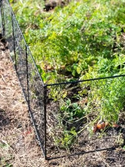 Chicken Wire Critter Fence, 16" High -Garden Tools Store 8613249 0309