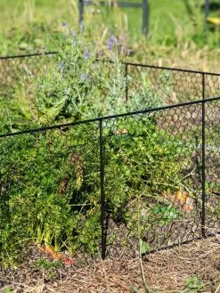 Chicken Wire Critter Fence, 16" High -Garden Tools Store 8613249 0352