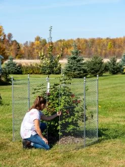 Tall Chicken Wire Critter Fence With Gate -Garden Tools Store 8613260 0044