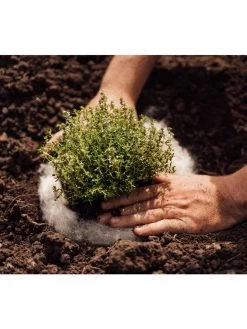 Hortiwool ®, 5 Pad Pack -Garden Tools Store 8613263 06v